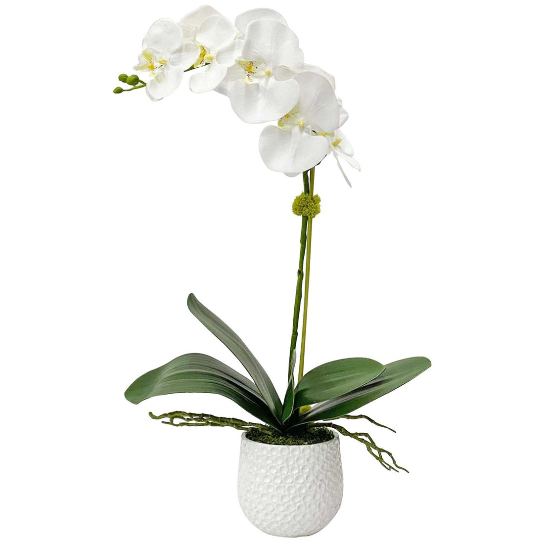 Uttermost Cami White Orchid