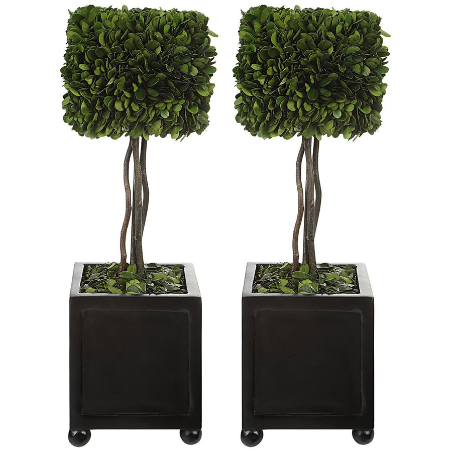 Uttermost Preserved Boxwood Square Topiaries, Set of 2