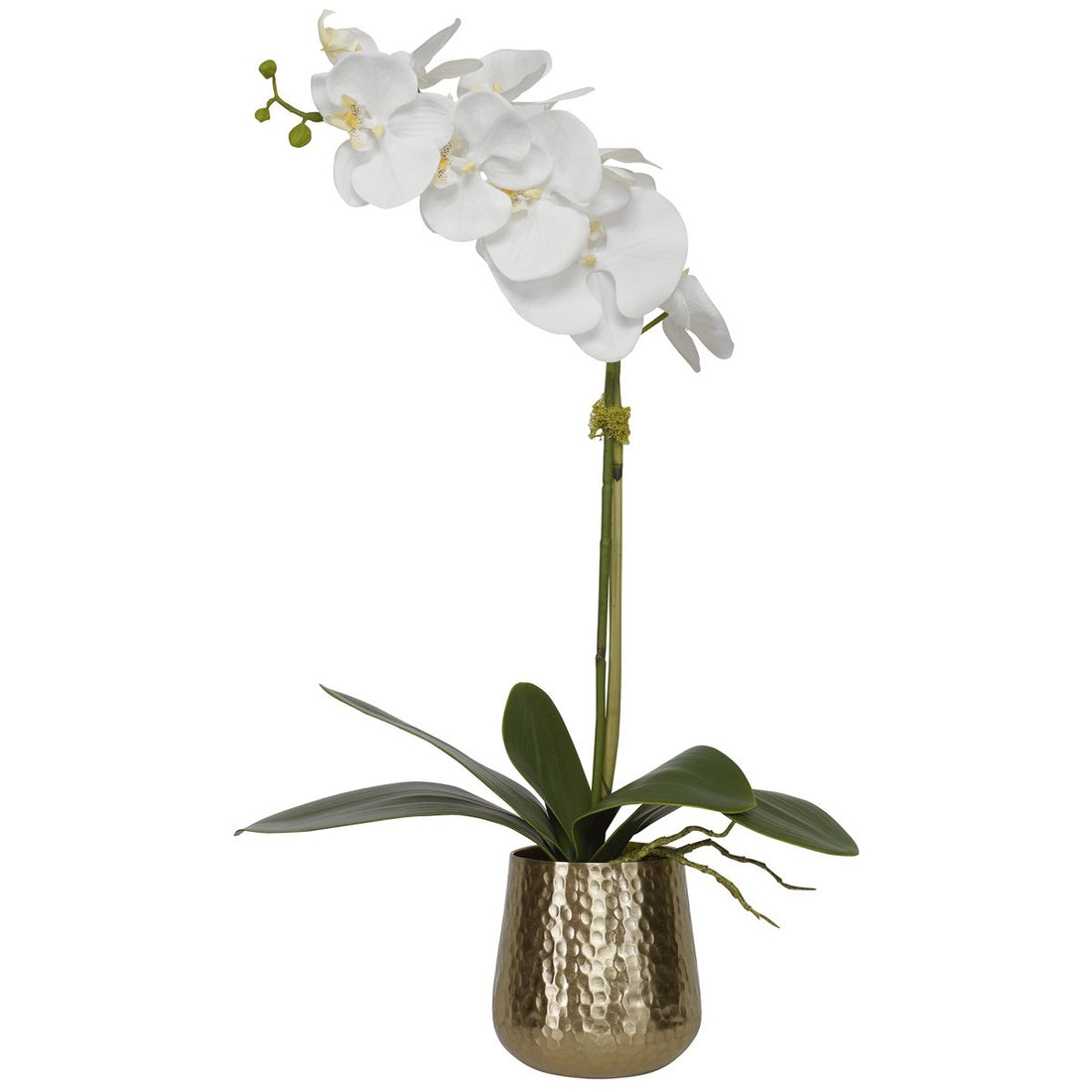 Uttermost Cami Orchid with Brass Pot