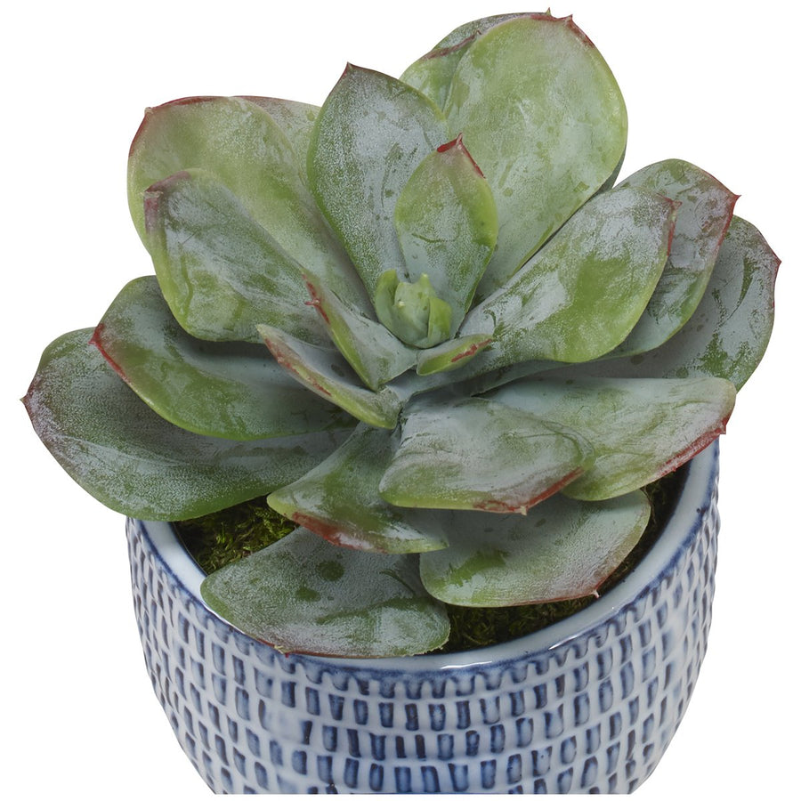 Uttermost Puebla Greenery in Blue & White Pots, 3-Piece Set