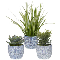 Uttermost Puebla Greenery in Blue & White Pots, 3-Piece Set