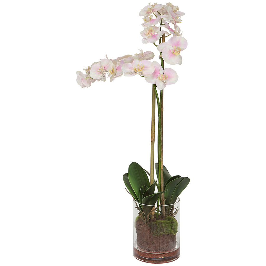 Uttermost Blush Pink and White Orchid