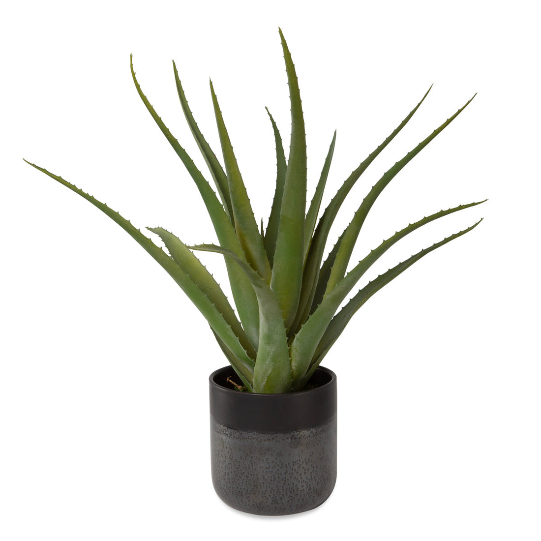 Uttermost Tucson Aloe Planter