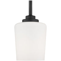 Sea Gull Lighting Windom 1-Light Mini-Pendant