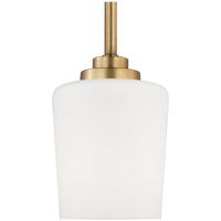 Sea Gull Lighting Windom 1-Light Mini-Pendant