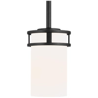 Sea Gull Lighting Robie 1-Light Mini-Pendant without Bulb