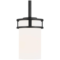 Sea Gull Lighting Robie 1-Light Mini-Pendant with Bulb