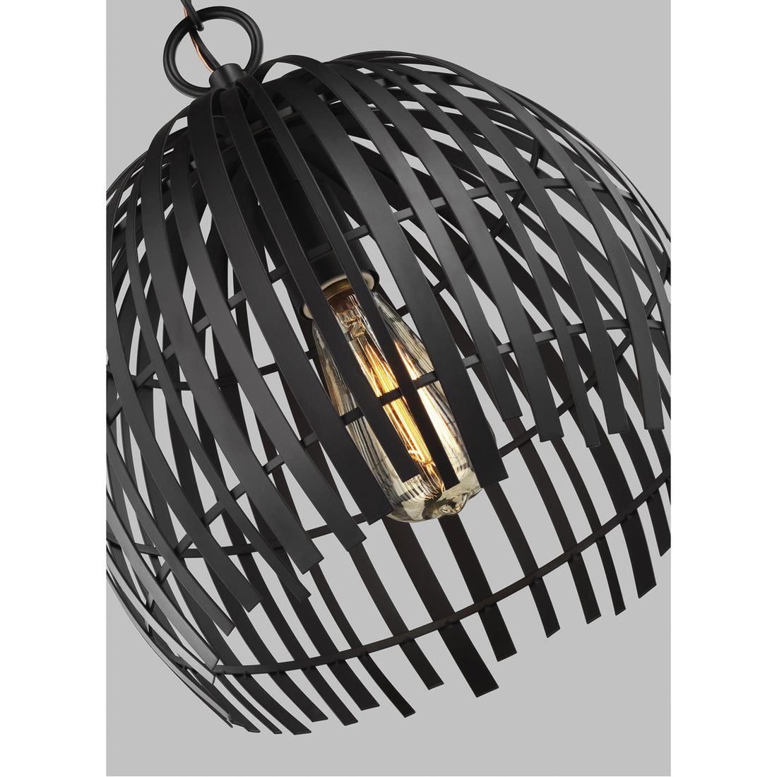 Sea Gull Lighting Hanalei 1-Light Pendant