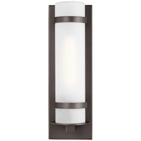 Sea Gull Lighting Alban 1-Light Outdoor Wall Lantern