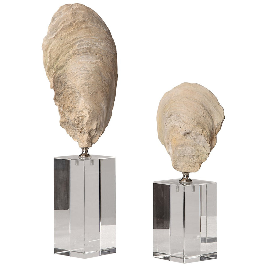 Uttermost Oyster Shell Sculptures, 2-Piece Set