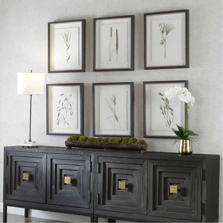 Uttermost Forest Finds Framed Prints, 6-Piece Set