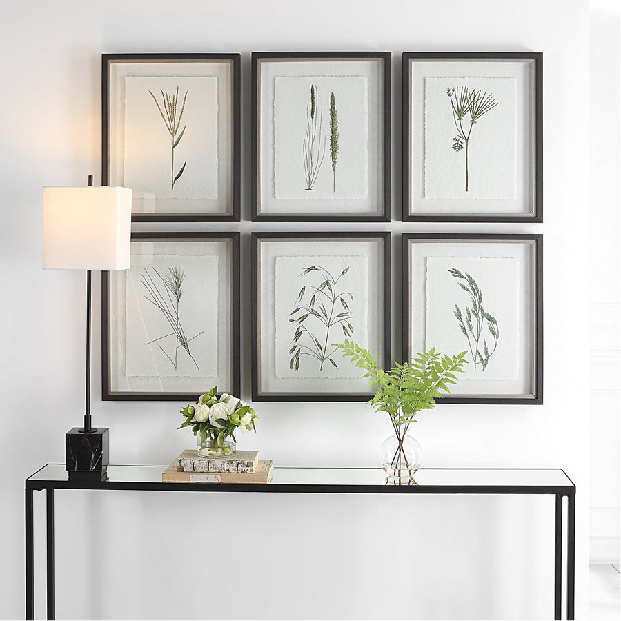 Uttermost Forest Finds Framed Prints, 6-Piece Set