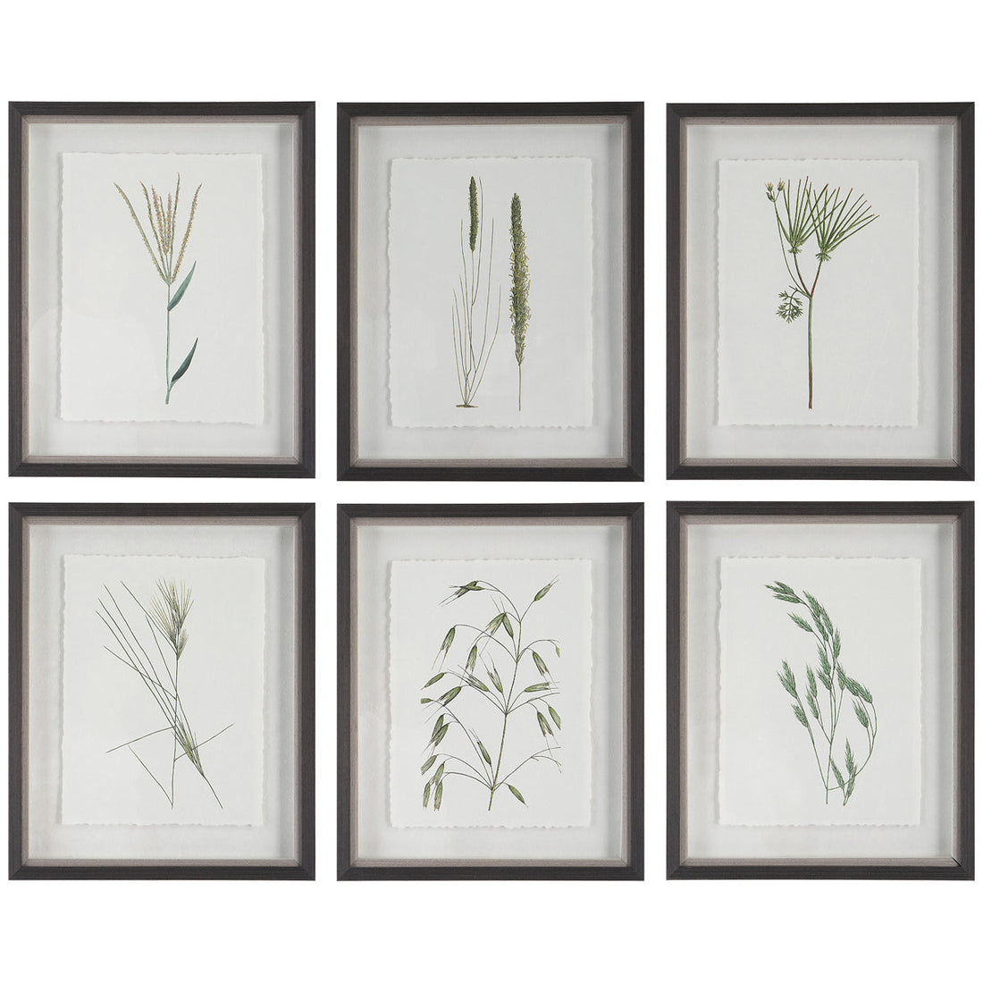 Uttermost Forest Finds Framed Prints, 6-Piece Set