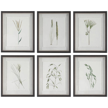 Uttermost Forest Finds Framed Prints, 6-Piece Set