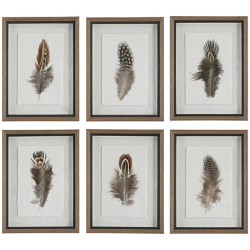 Uttermost Birds of A Feather Framed Prints, 6-Piece Set