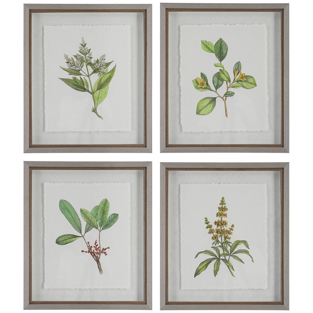 Uttermost Wildflower Study Framed Prints, 4-Piece Set