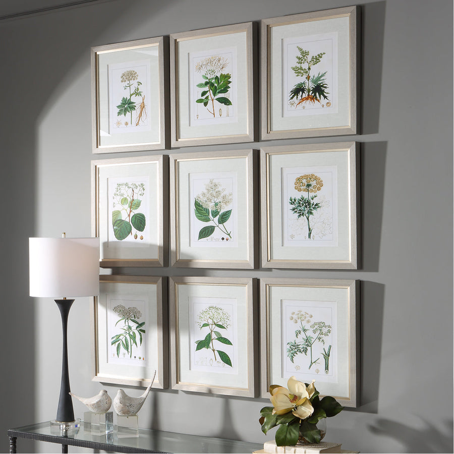 Uttermost Antique Botanicals Framed Prints, 9-Piece Set