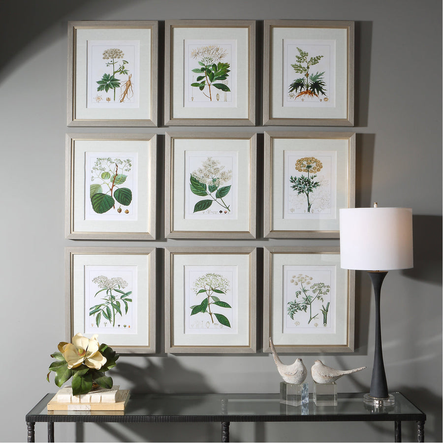 Uttermost Antique Botanicals Framed Prints, 9-Piece Set