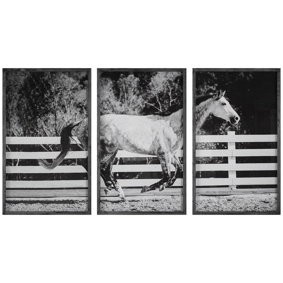 Uttermost Galloping Forward Equine Prints, 3-Piece Set