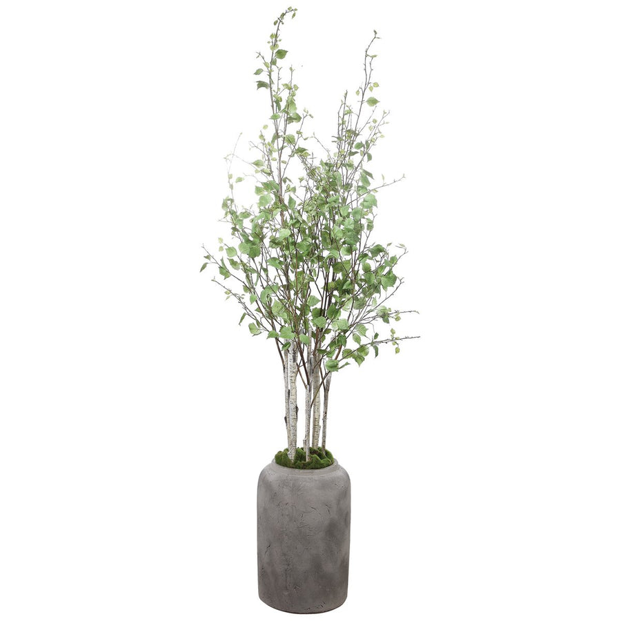 Uttermost Aldis Potted River Birch