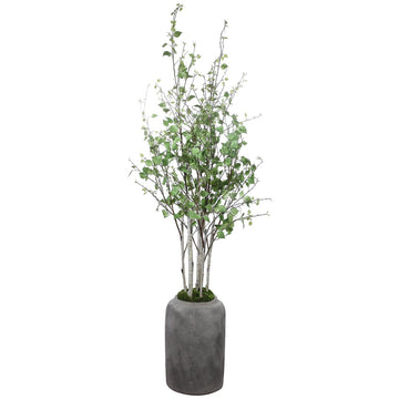 Uttermost Aldis Potted River Birch