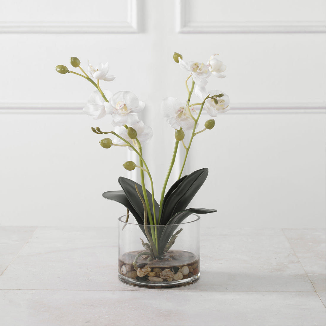 Uttermost Glory Orchid