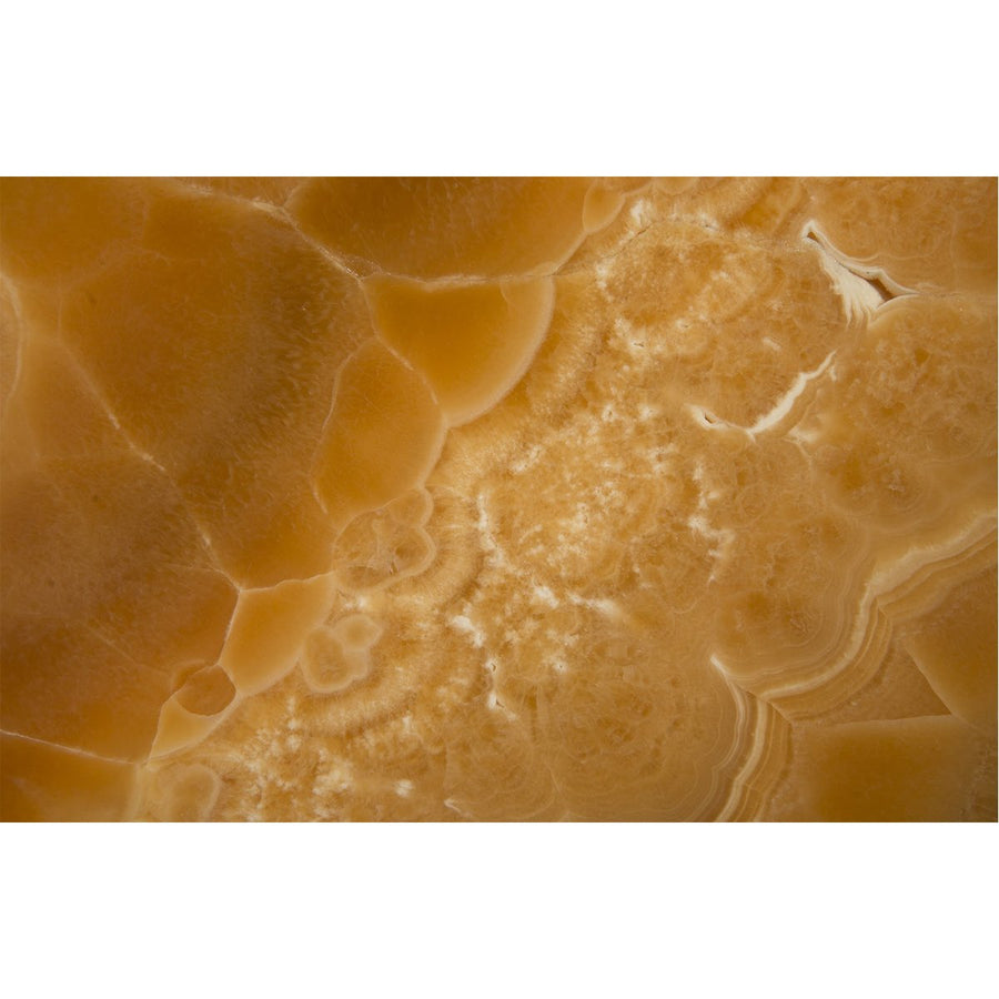 Phillips Collection Gem Wall Tile, Sand Onyx