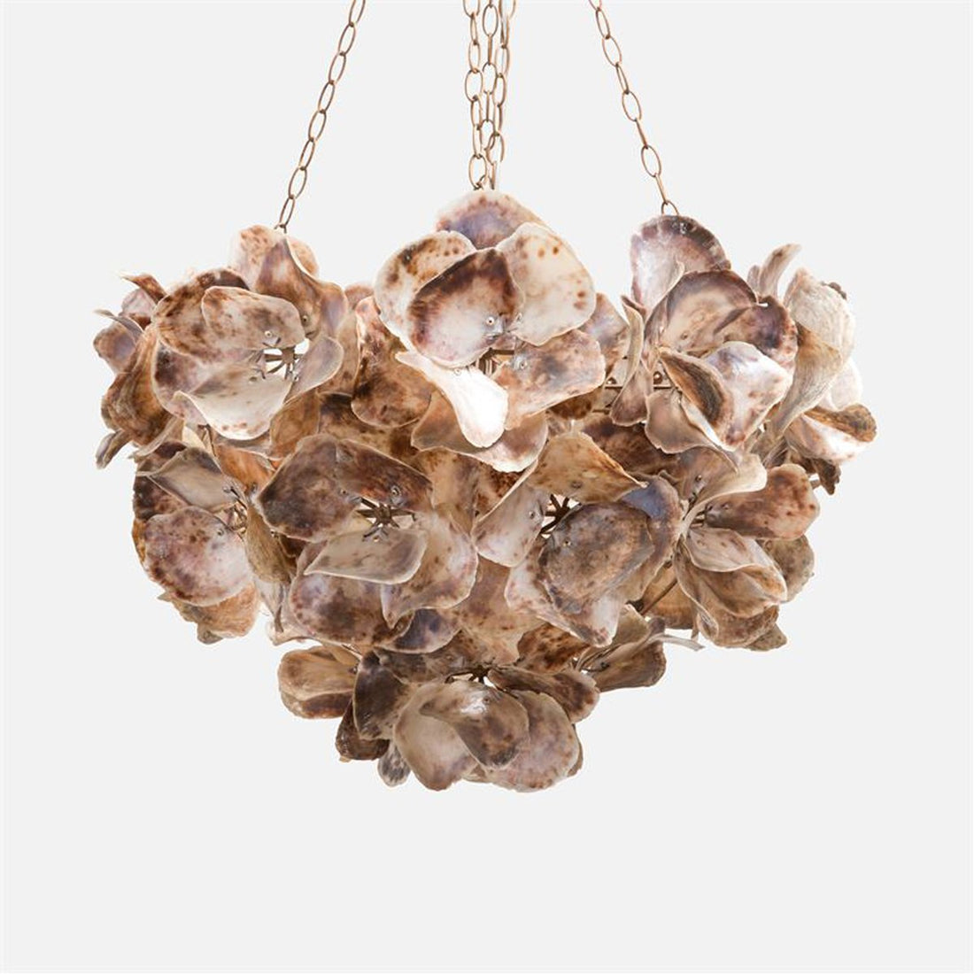 Made Goods Venus Oyster Shell Chandelier