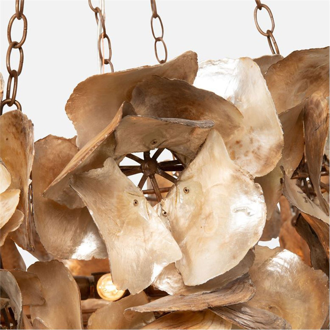 Made Goods Venus Oyster Shell Chandelier