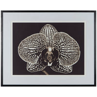 Coup & Co Black Orchid Art