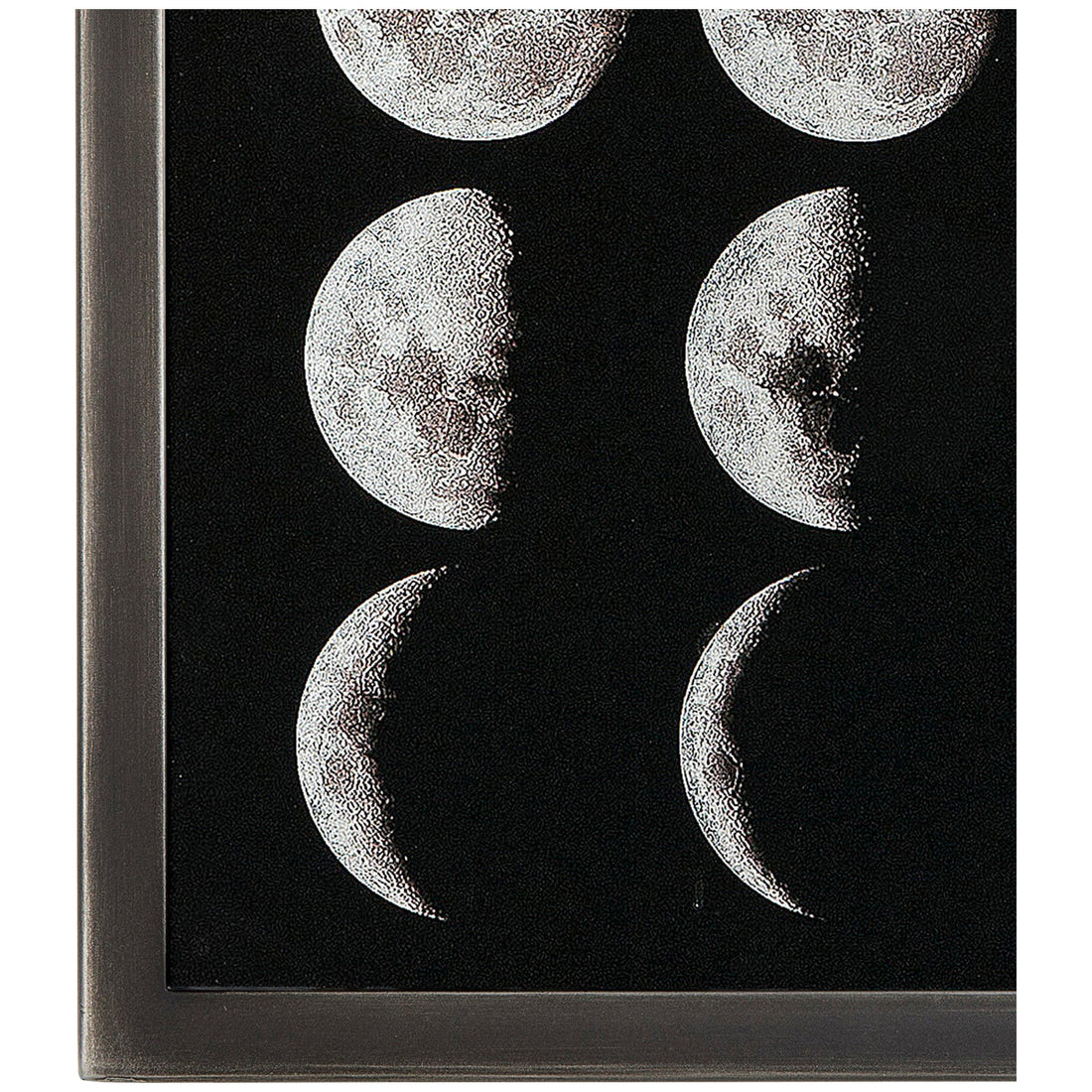 Coup & Co Silver Leaf Art - Phases of The Moon