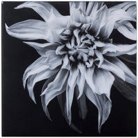 Sonder Living Black & White Flower - Epoxy Art Style F