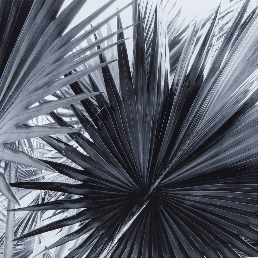 Sonder Living Black & White Palm Leaves Style B