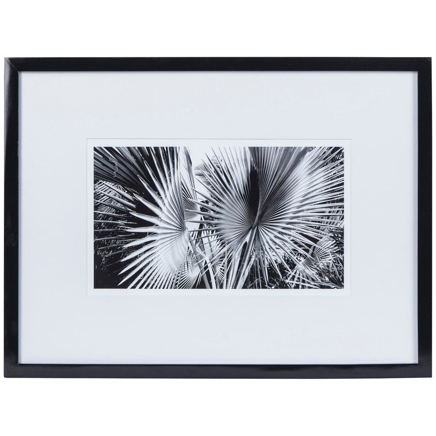 Sonder Living Black & White Palm Leaves Style C