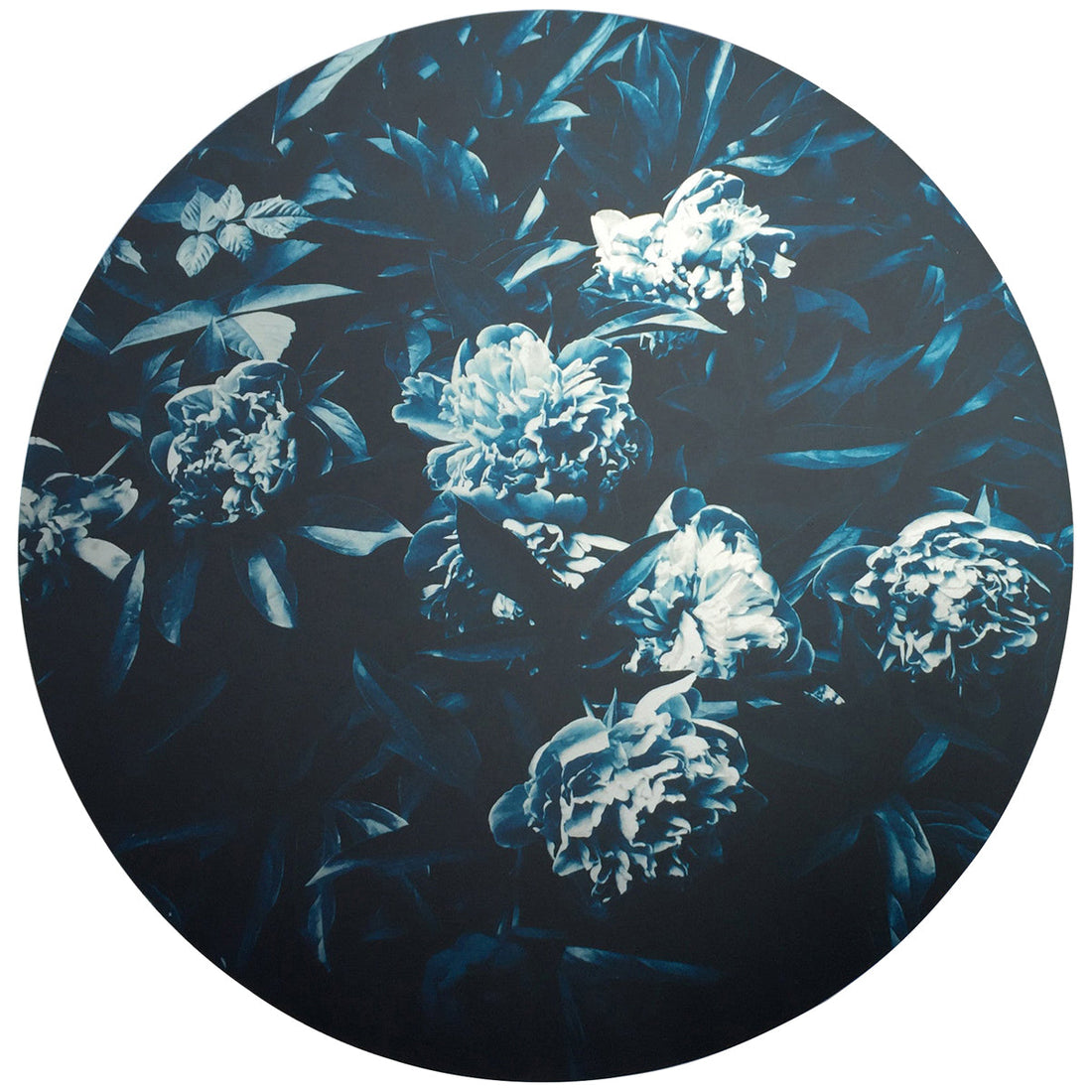 Coup & Co Botanical on Aluminum Art