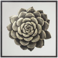 Coup & Co Gold Succulent Art - Style B