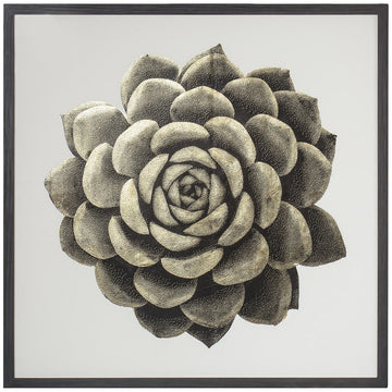 Coup & Co Gold Succulent Art - Style B