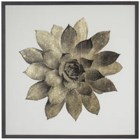 Coup & Co Gold Succulent Art - Style C