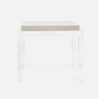 Made Goods Cassian Acrylic Side Table in Realistic Faux Shagreen