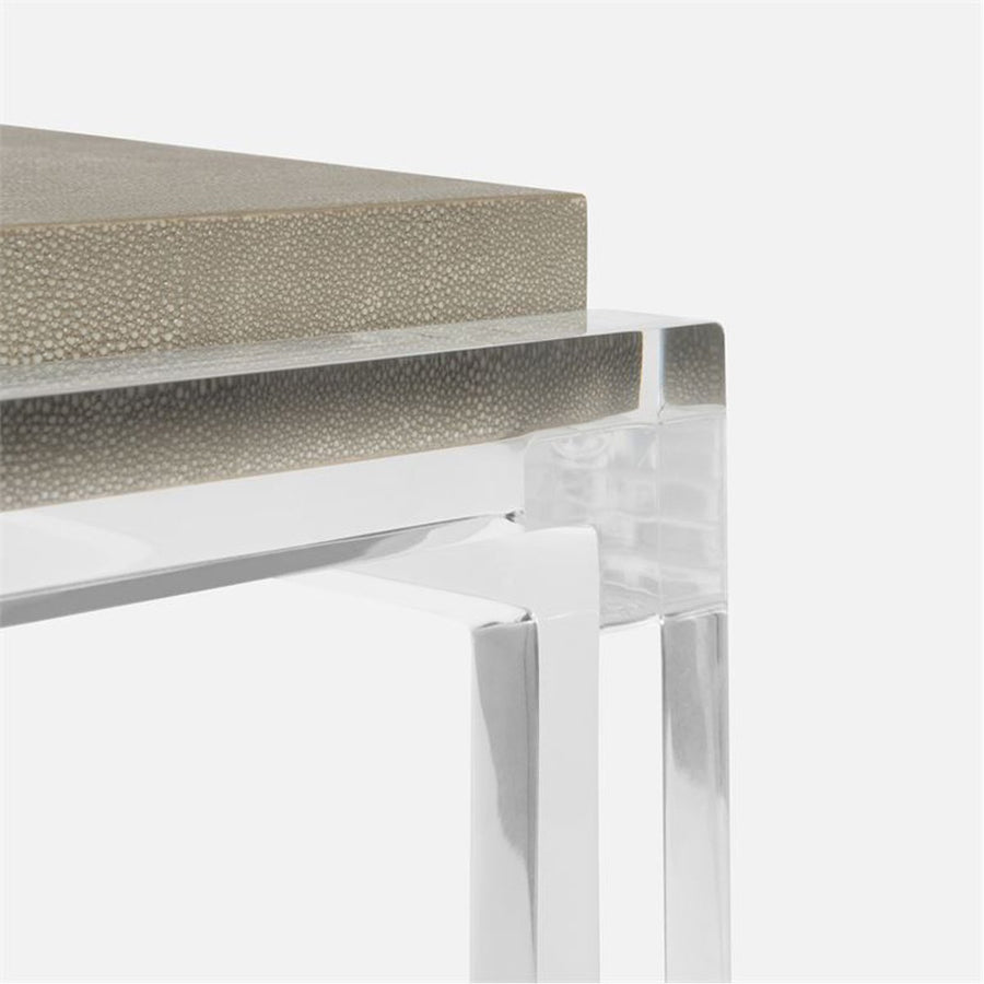 Made Goods Cassian Acrylic Side Table in Realistic Faux Shagreen