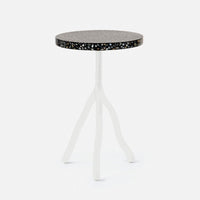 Made Goods Royce Abstract Branch 16-Inch Accent Table in Shell Top