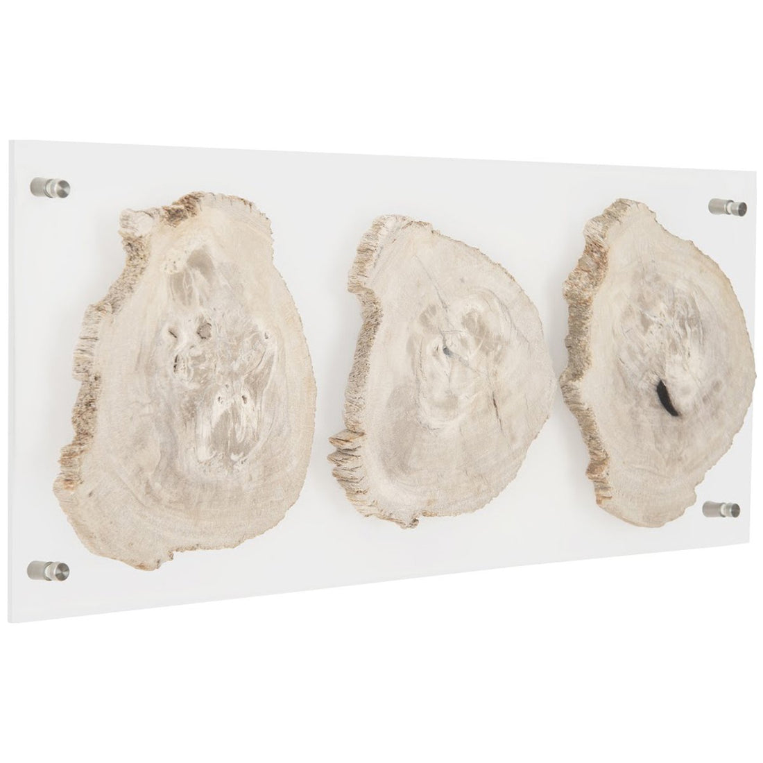 Phillips Collection Floating Petrified Triple Slice Wall Art