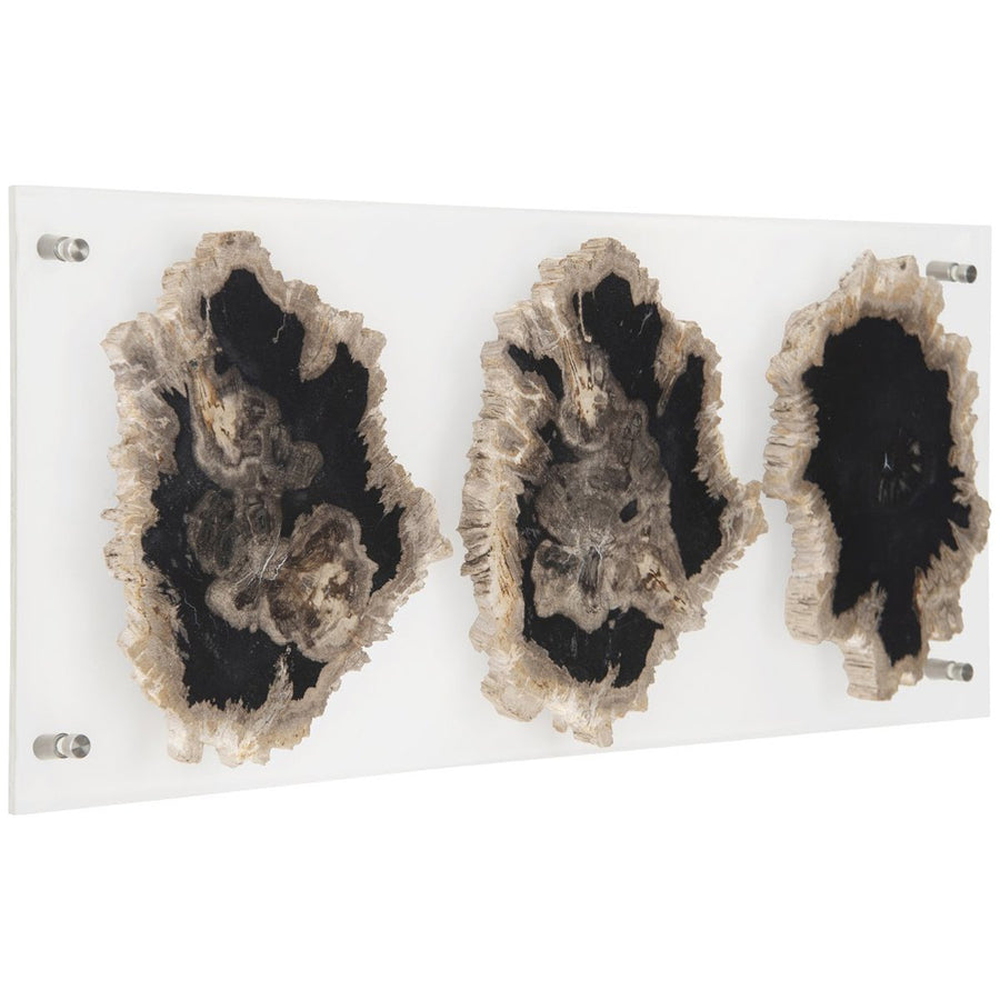 Phillips Collection Floating Petrified Triple Slice Wall Art