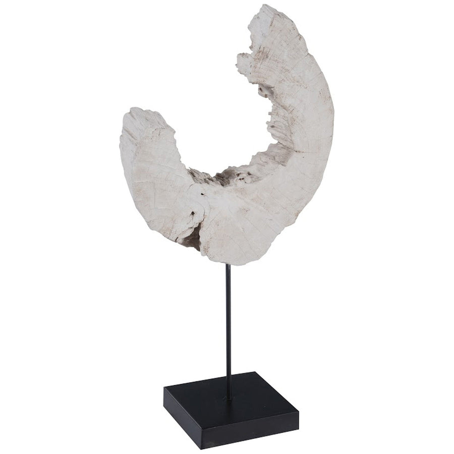 Phillips Collection Eroded Wood C Sculpture on Stand