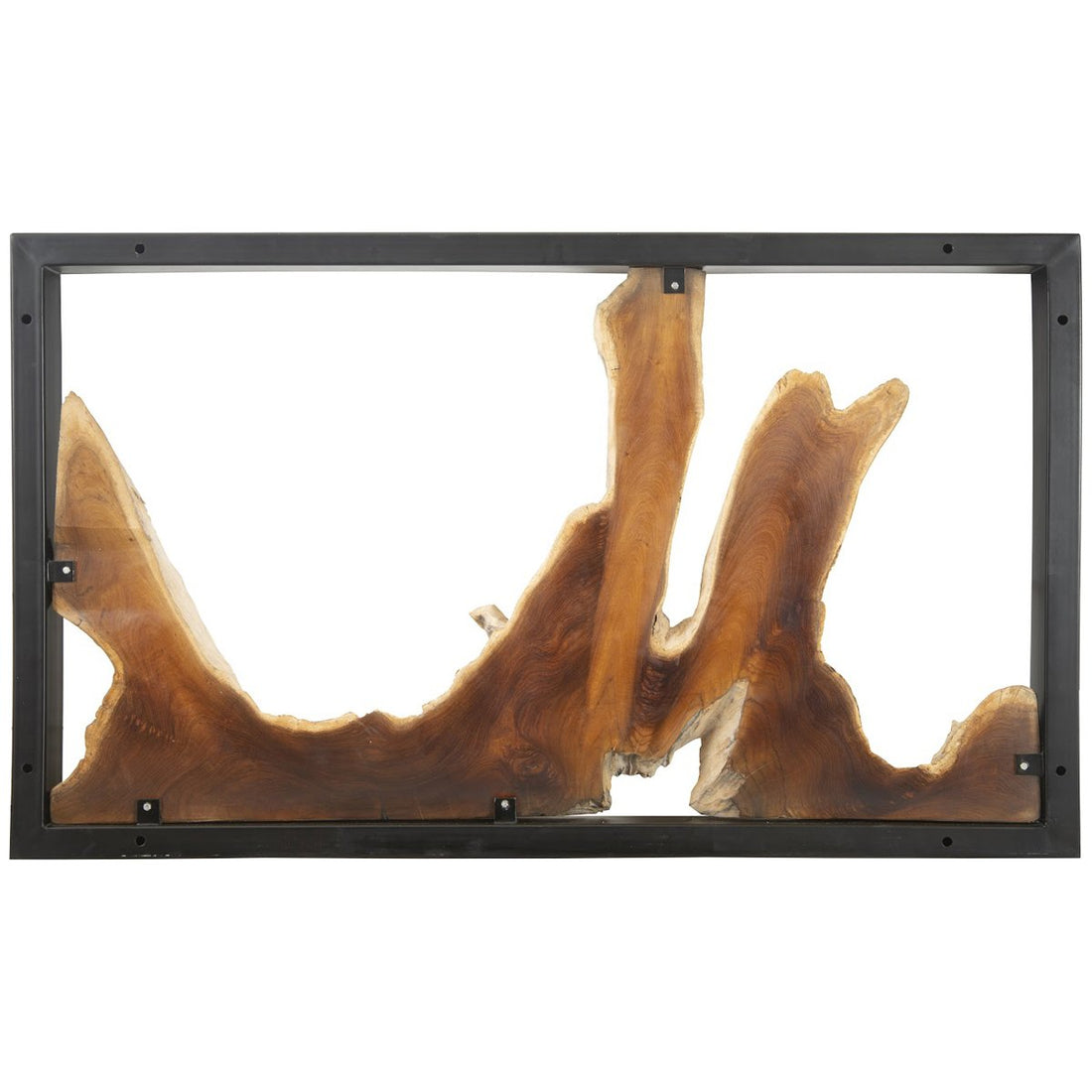 Phillips Collection Framed Root Wall Art