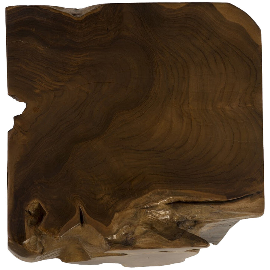 Phillips Collection Teak Root Side Table