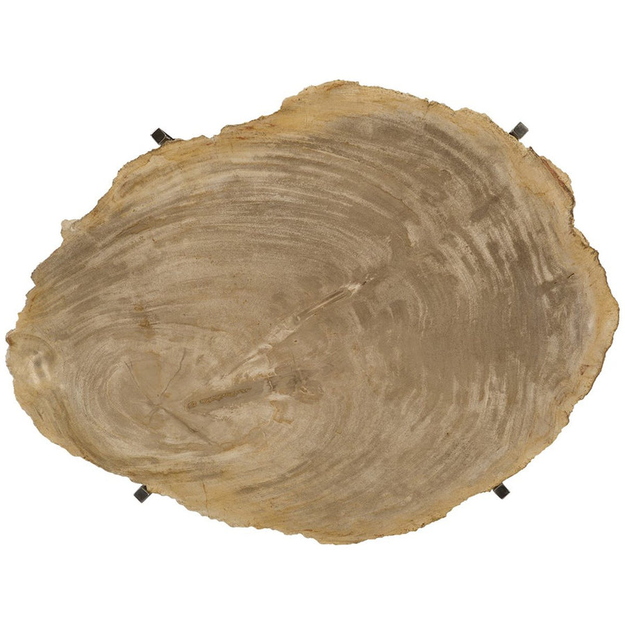 Phillips Collection Petrified Wood Tray