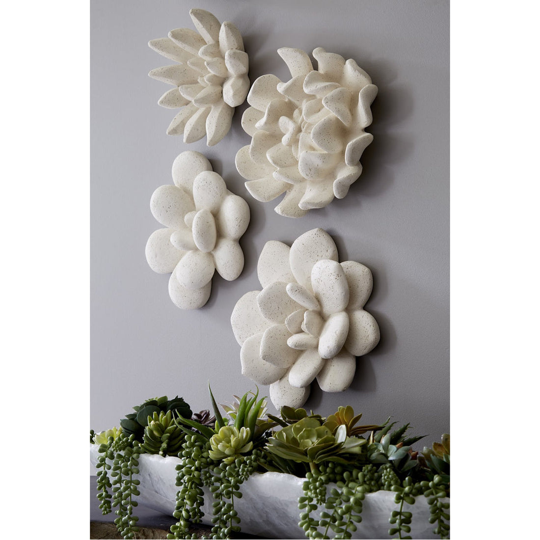 Phillips Collection Oviferum Succulent Outdoor Wall Art