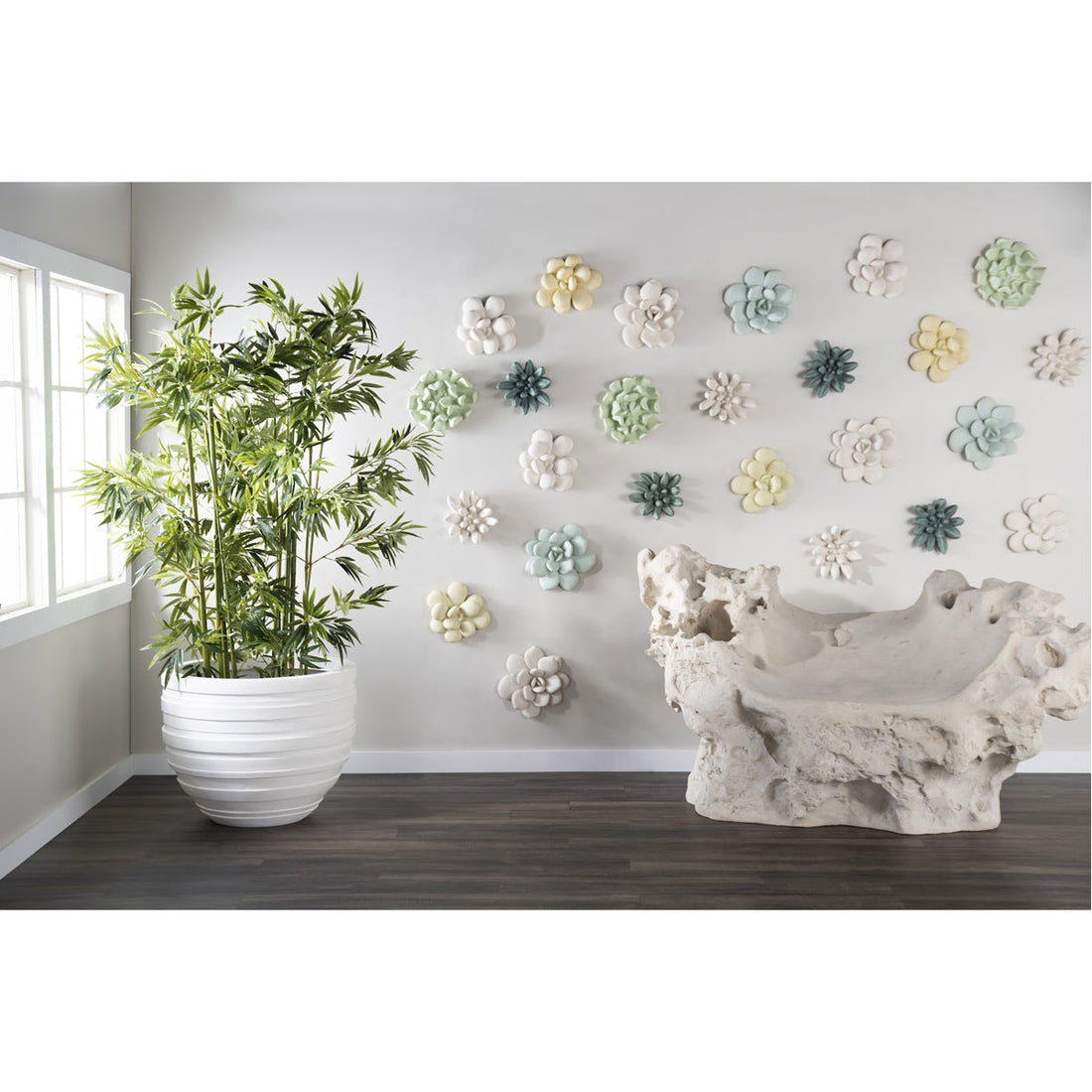 Phillips Collection Oviferum Succulent Outdoor Wall Art