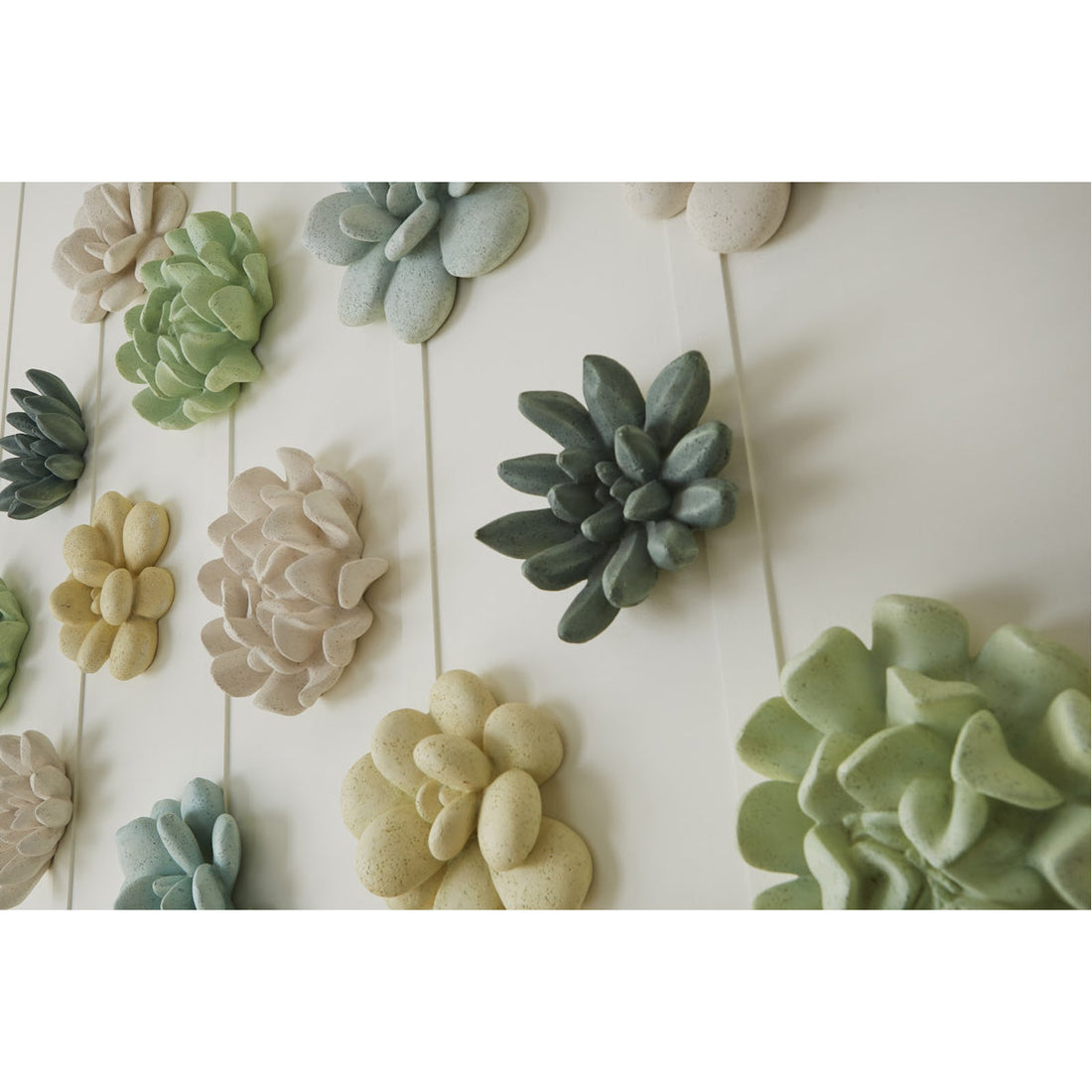 Phillips Collection Oviferum Succulent Outdoor Wall Art